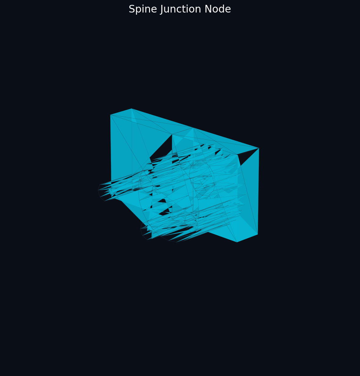 Spine Junction Node